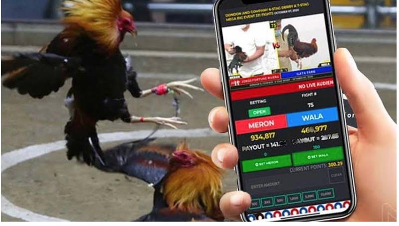 Bí quyết của dân chơi giàu kinh nghiệm