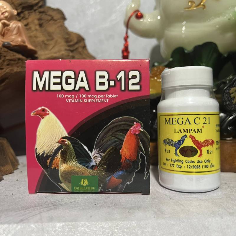 Cách dùng thuốc hỗ trợ đúng cách để đạt hiệu quả tối ưu