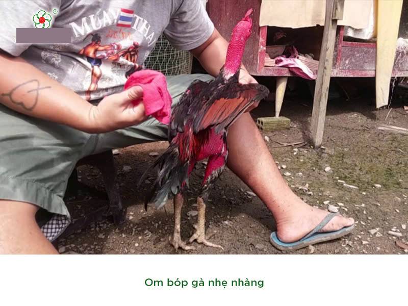 Chăm sóc da và chân 