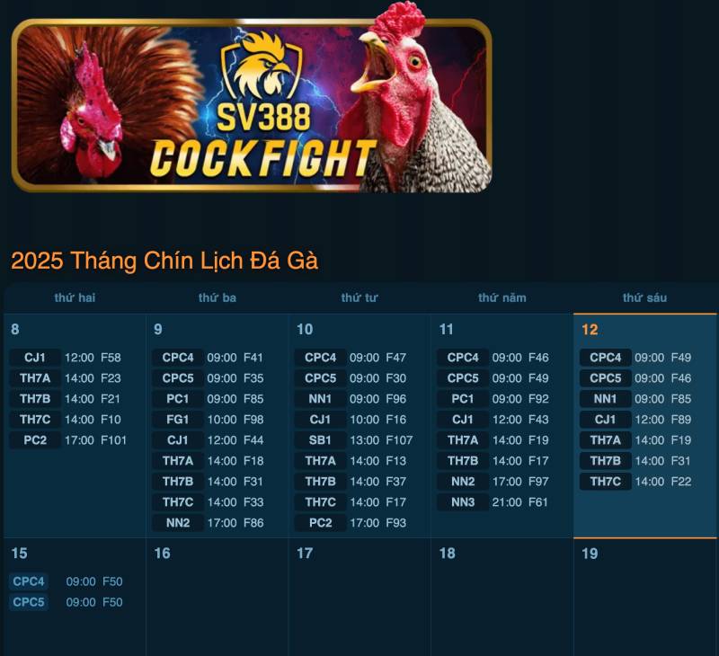 ALO789 - Nhà Cái Đá Gà Thomo Trực Tiếp ALO 789 Uy Tín Nhất 2025 6 Đá Gà Thomo