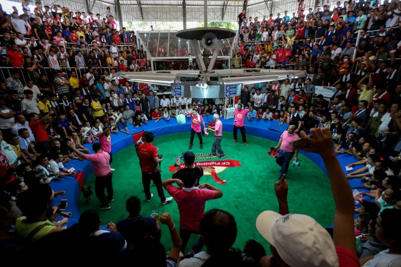 Không khí tại sân đá gà – Hòa mình vào đam mê